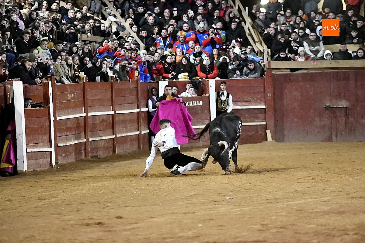 Concurso de recortes en Ciudad Rodrigo