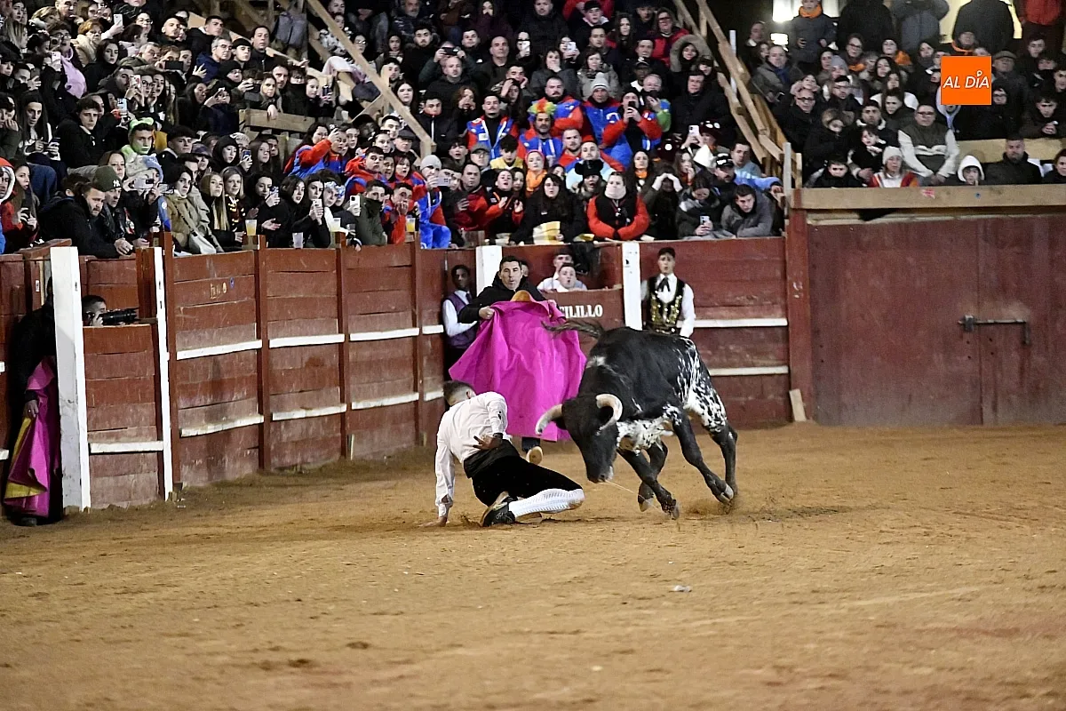 Concurso de recortes en Ciudad Rodrigo