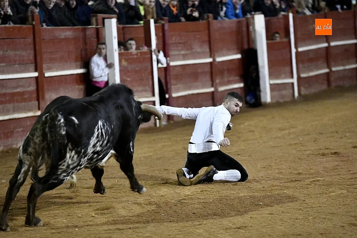 Concurso de recortes en Ciudad Rodrigo