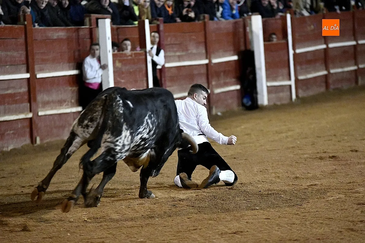 Concurso de recortes en Ciudad Rodrigo