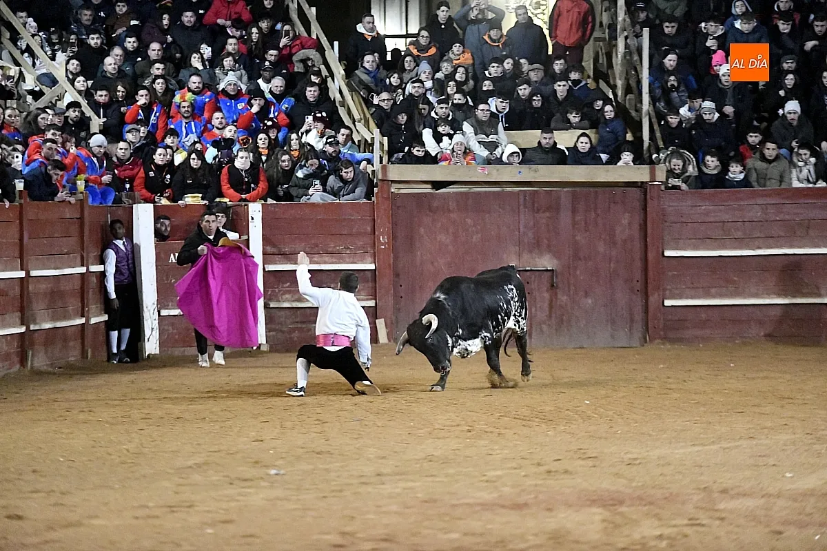 Concurso de recortes en Ciudad Rodrigo