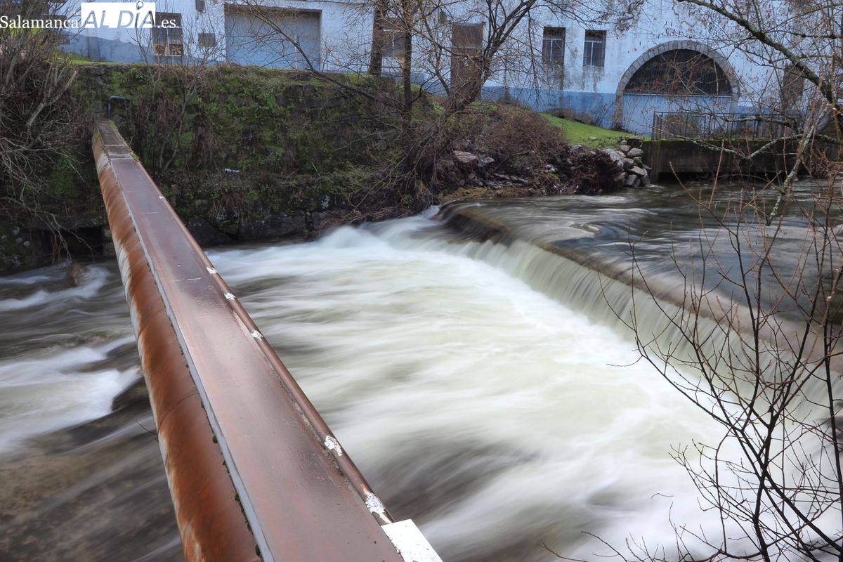 Espectacular crecida del río Cuerpo de Hombre en Béjar