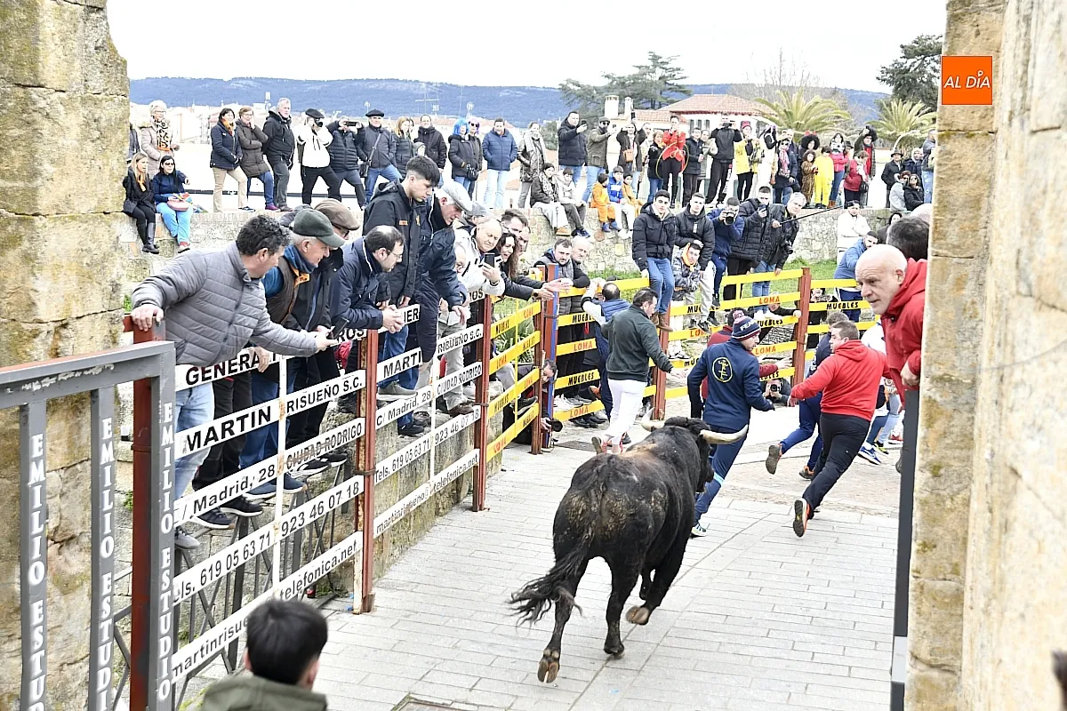 Encierros y desencierros lunes Carnaval
