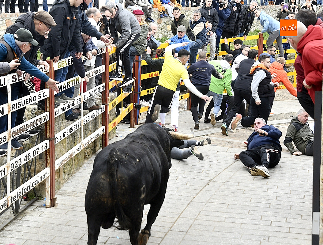 Lunes caranval encierros desencierros