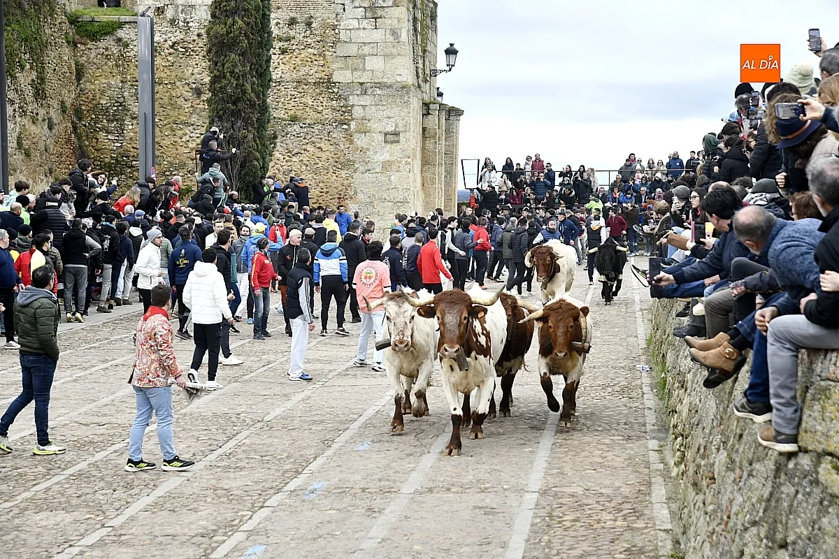 Encierros y desencierros lunes Carnaval