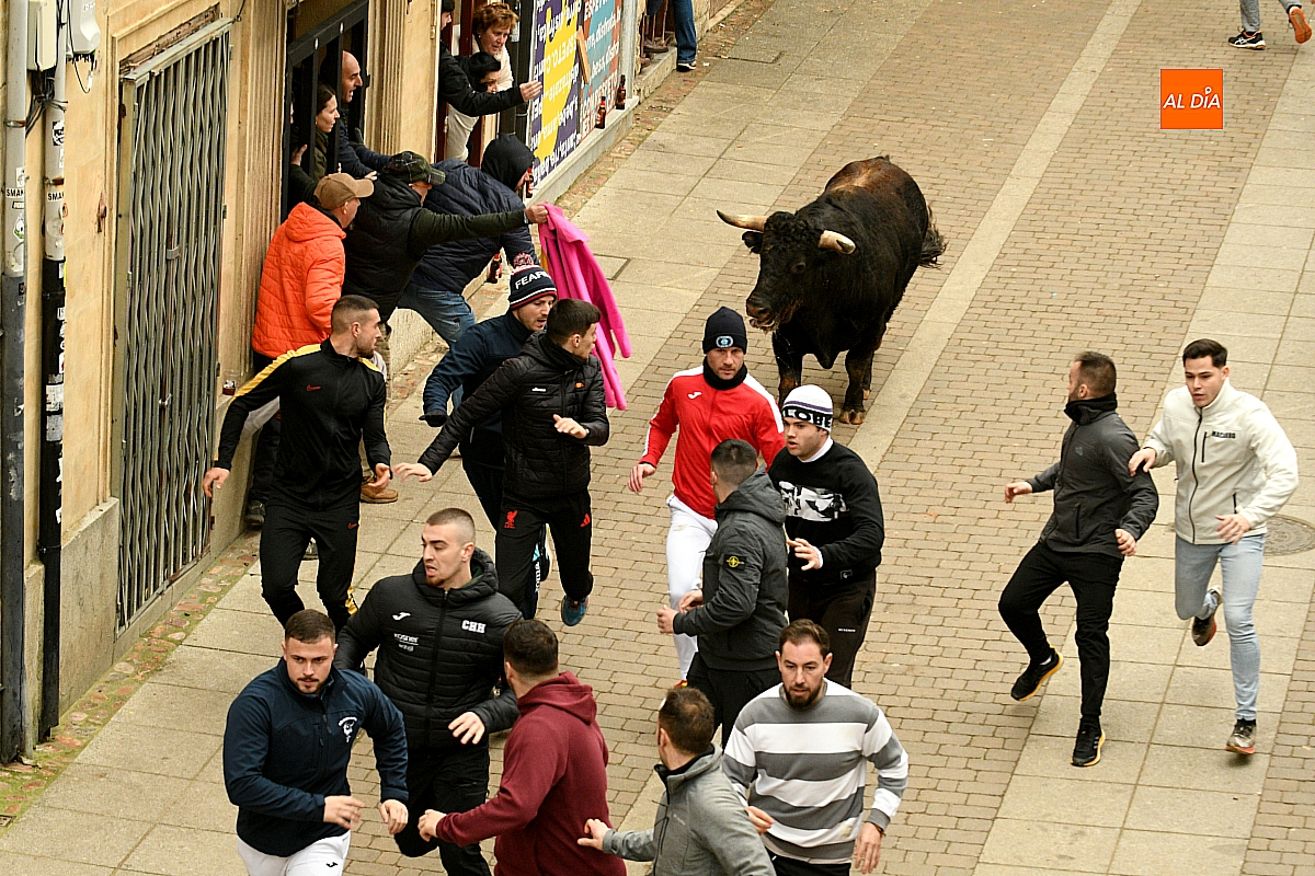 El Carnaval del Toro gana el Premio Nacional de Tauromaquia