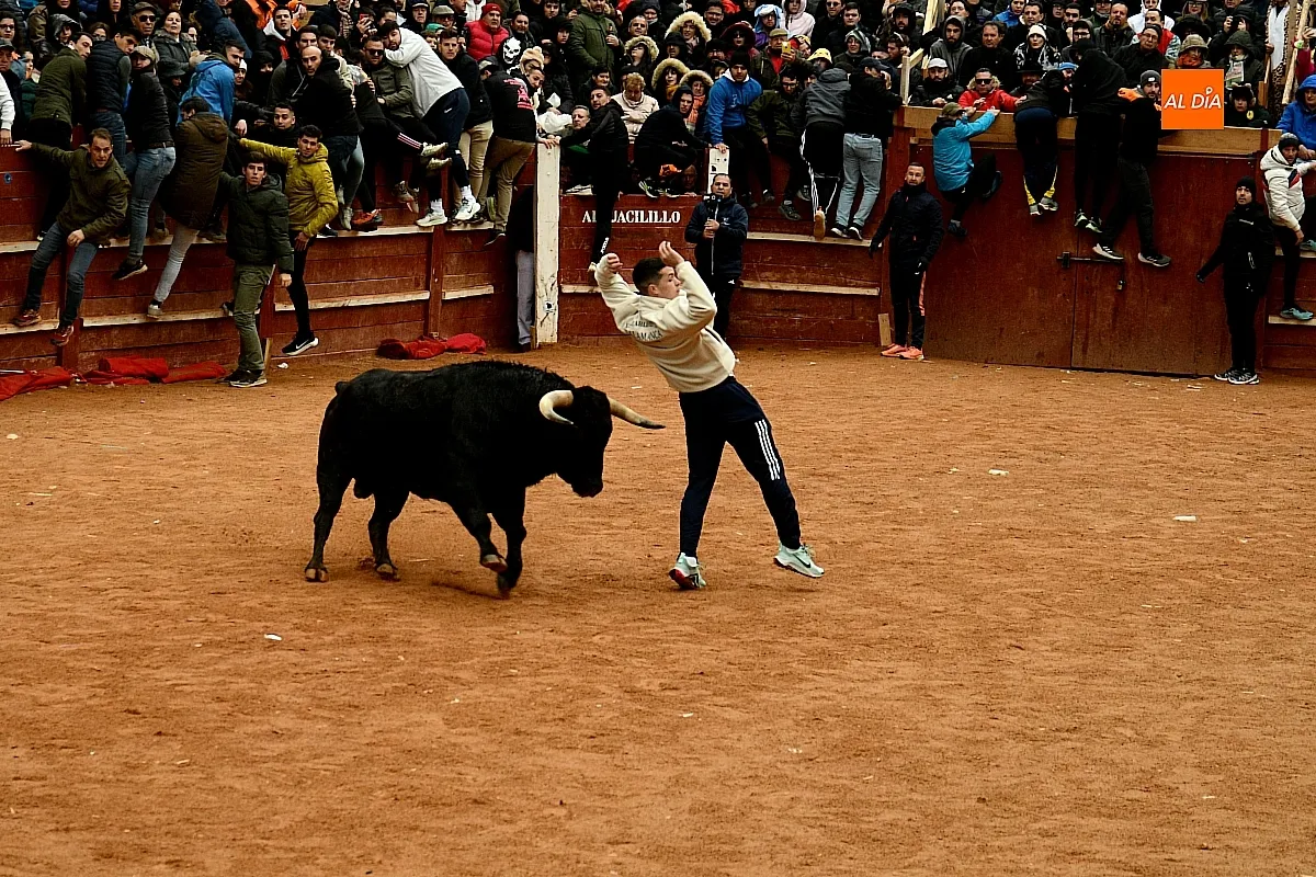 Capeas y desencierros domingo Carnaval