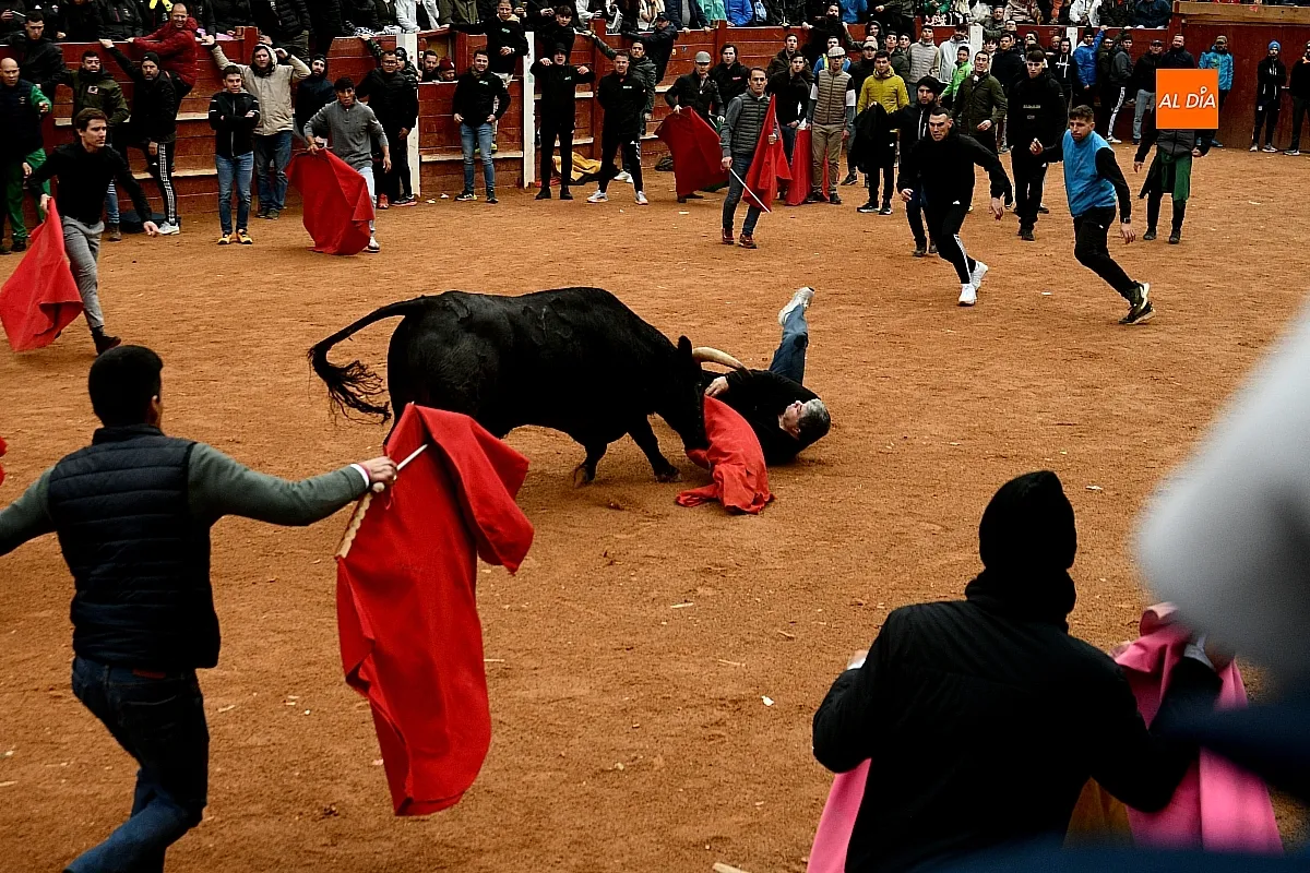 Capeas y desencierros domingo Carnaval