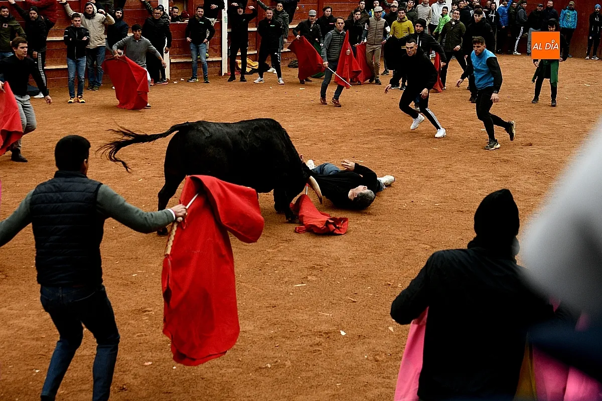 Capeas y desencierros domingo Carnaval