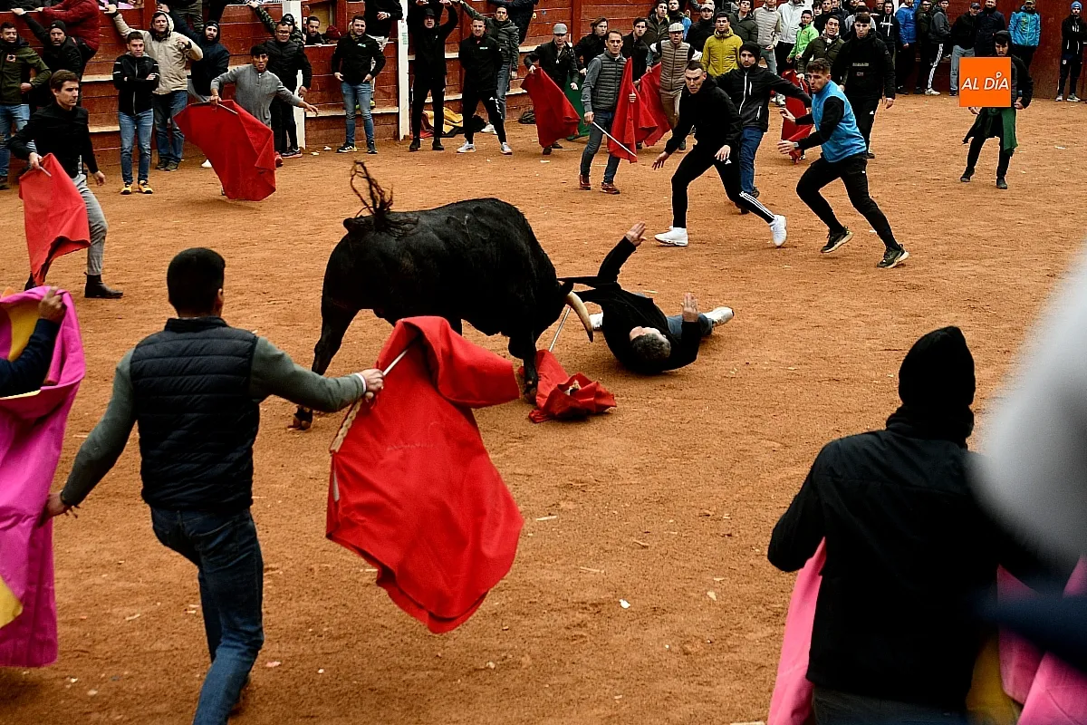 Capeas y desencierros domingo Carnaval