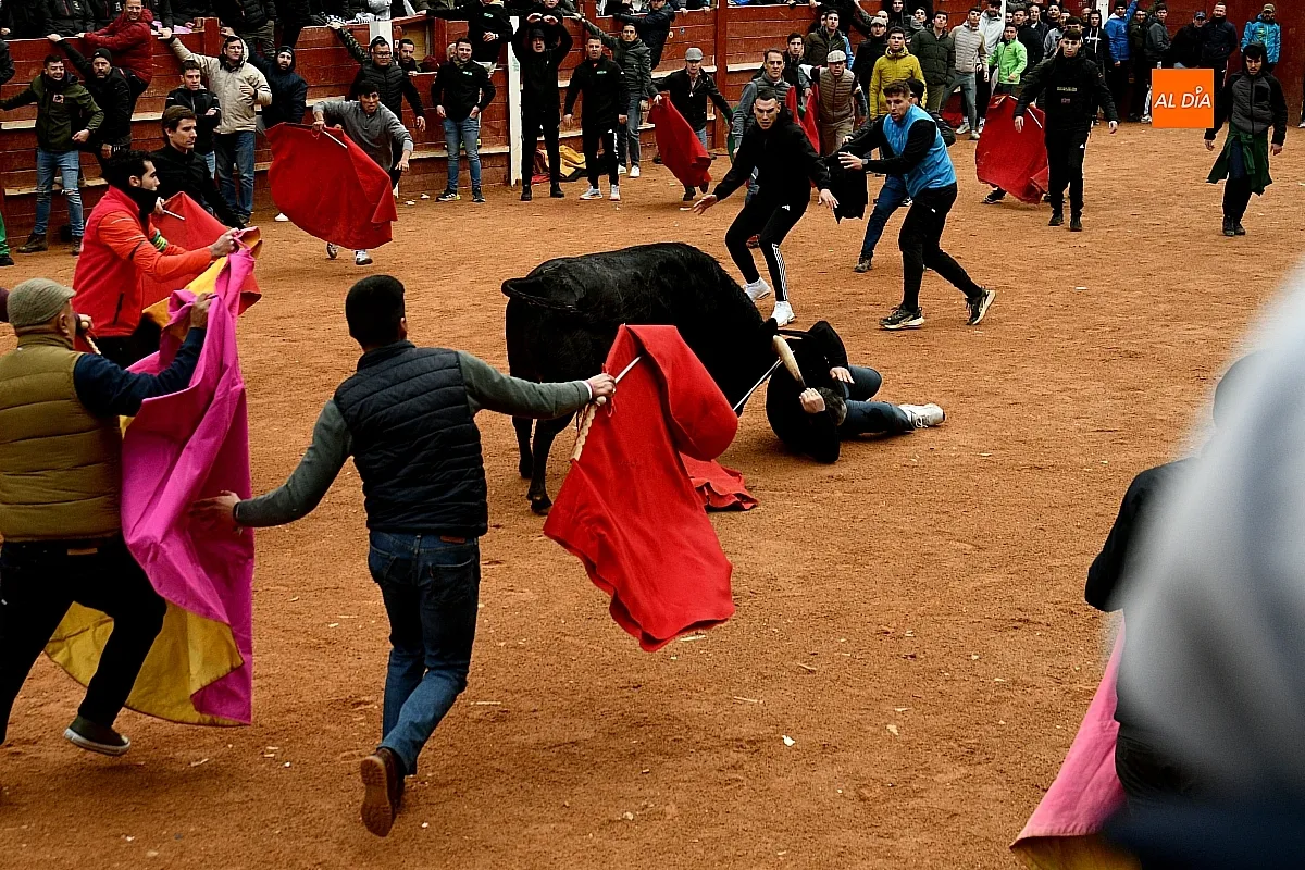 Capeas y desencierros domingo Carnaval