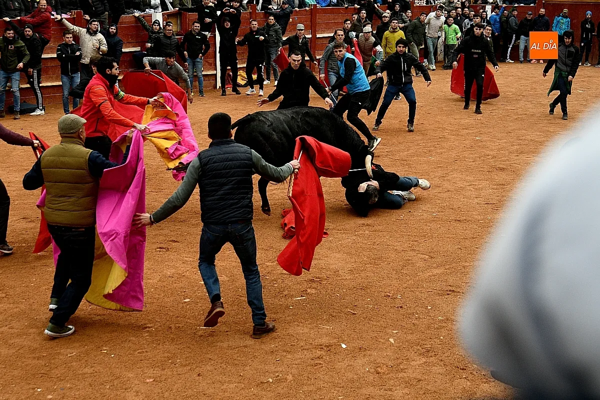 Capeas y desencierros domingo Carnaval