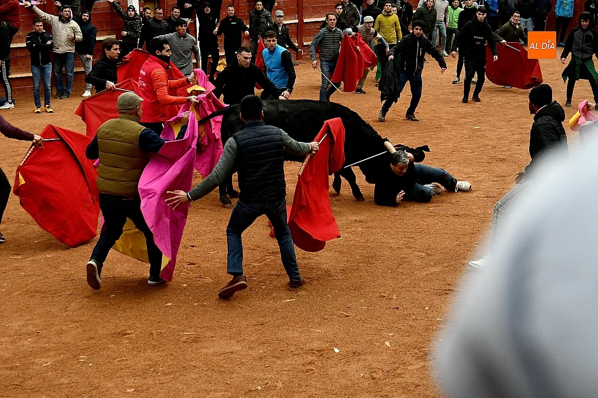 Capeas y desencierros domingo Carnaval