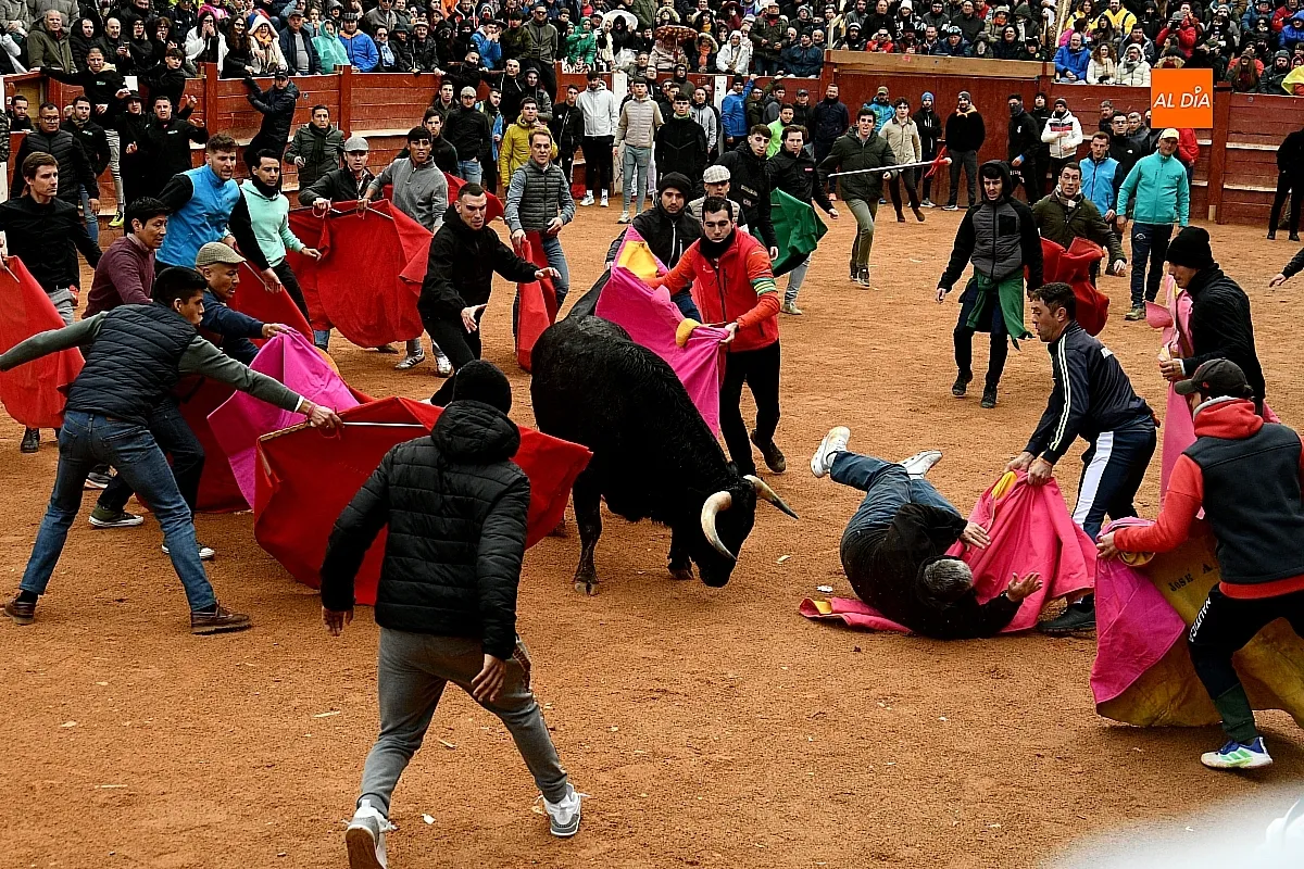 Capeas y desencierros domingo Carnaval