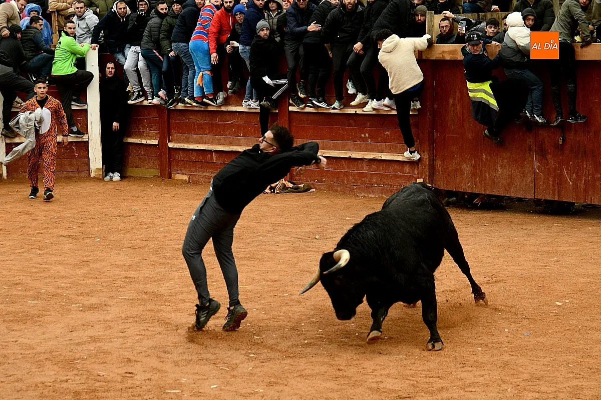 Capeas y desencierros domingo Carnaval