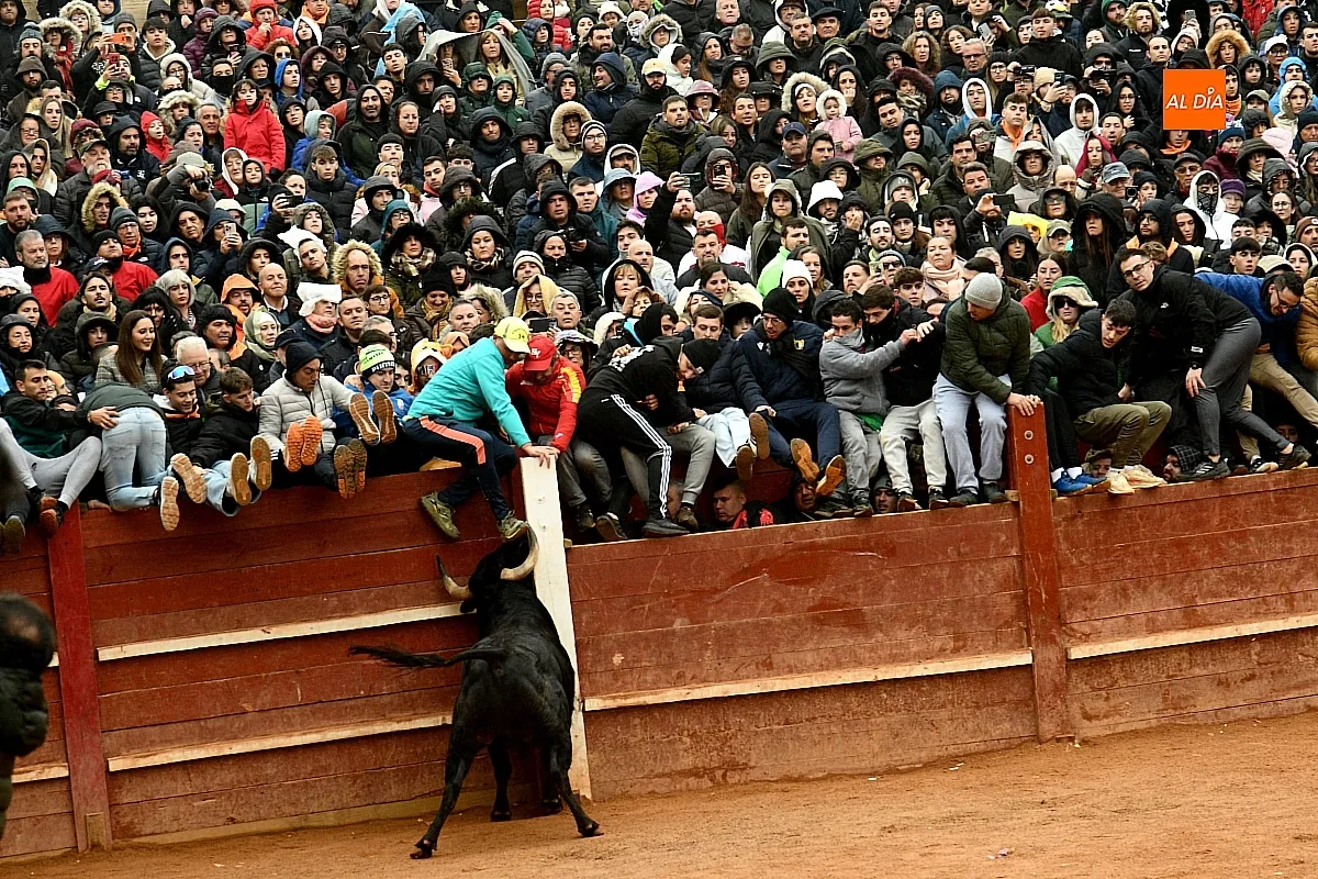 Capeas y desencierros domingo Carnaval