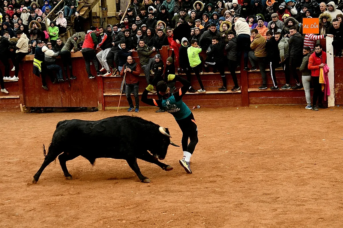 Capeas y desencierros domingo Carnaval