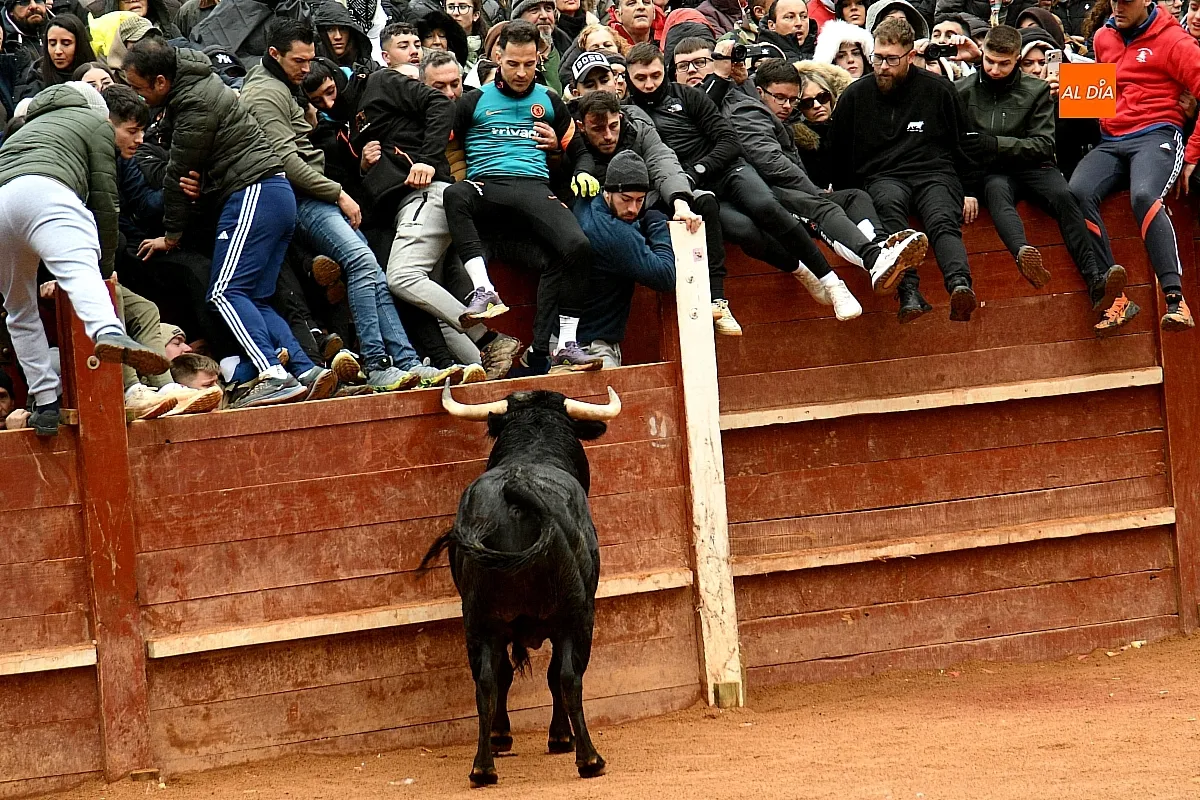 Capeas y desencierros domingo Carnaval