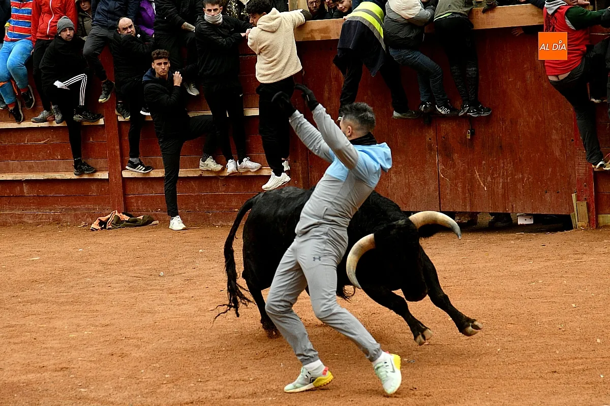 Capeas y desencierros domingo Carnaval