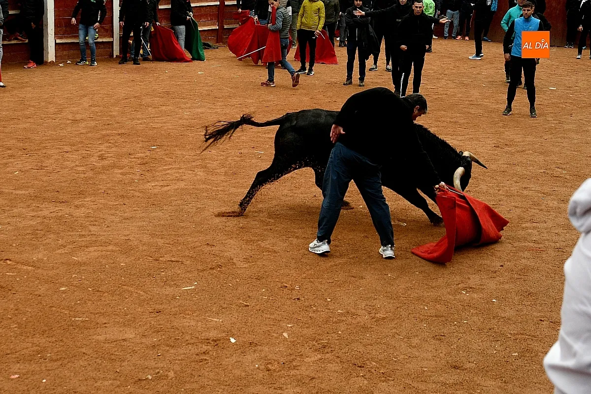 Capeas y desencierros domingo Carnaval