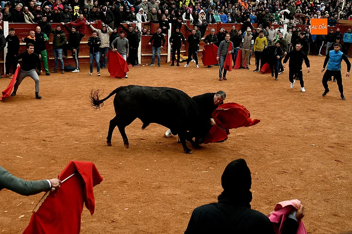 Capeas y desencierros domingo Carnaval