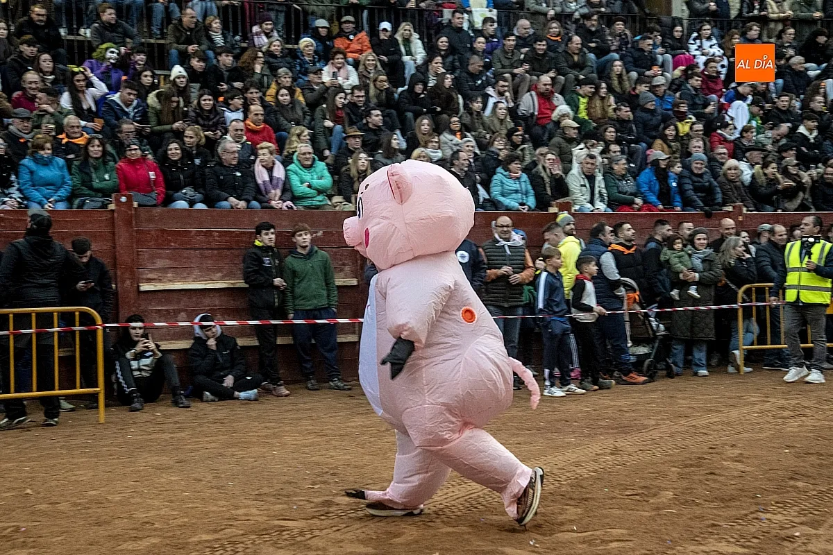 Foto 10 - Un drag&oacute;n gigante y un marrano a la fuga los dos &uacute;nicos participantes en el desfile de carrozas