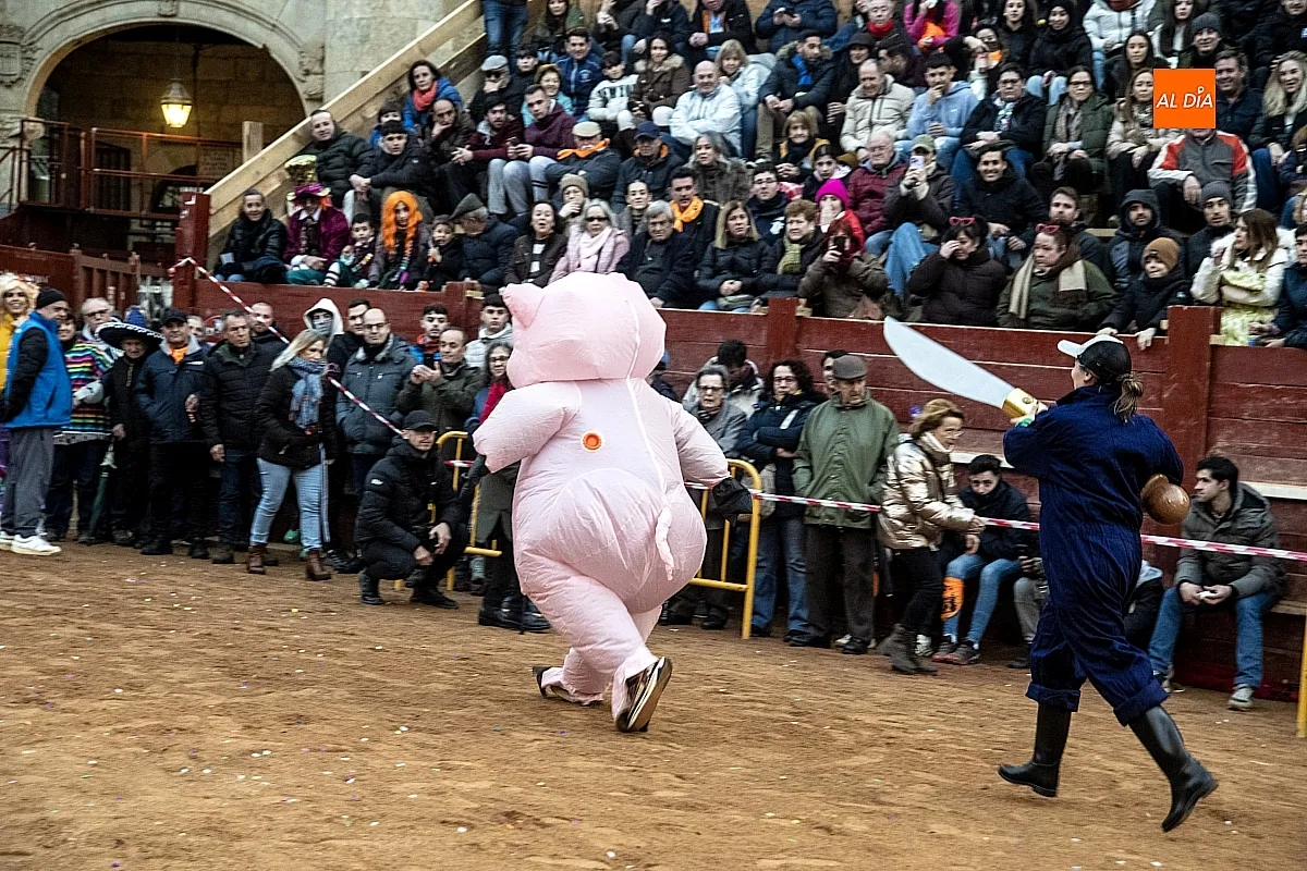 Foto 11 - Un drag&oacute;n gigante y un marrano a la fuga los dos &uacute;nicos participantes en el desfile de carrozas