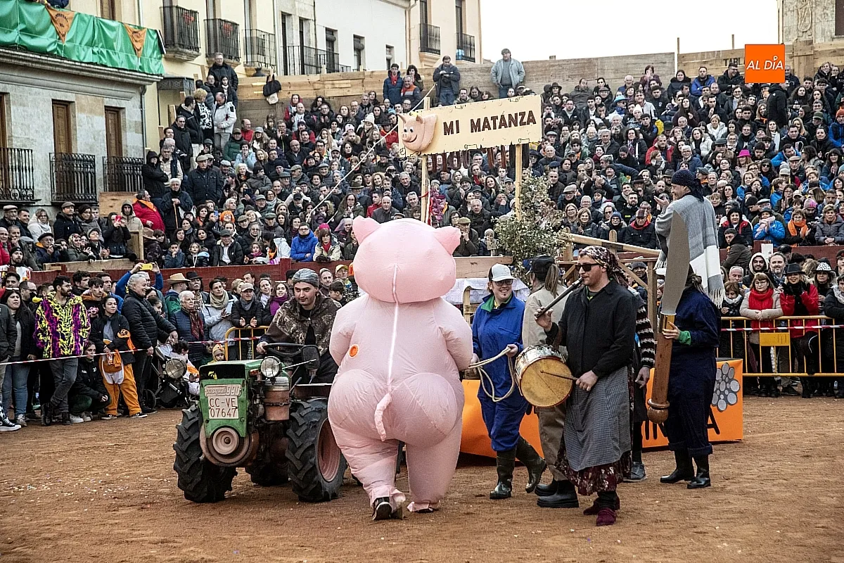 Foto 8 - Un drag&oacute;n gigante y un marrano a la fuga los dos &uacute;nicos participantes en el desfile de carrozas