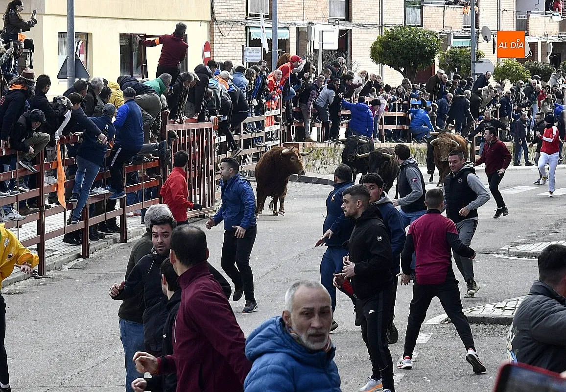 Encierro- desencierro martes Carnaval