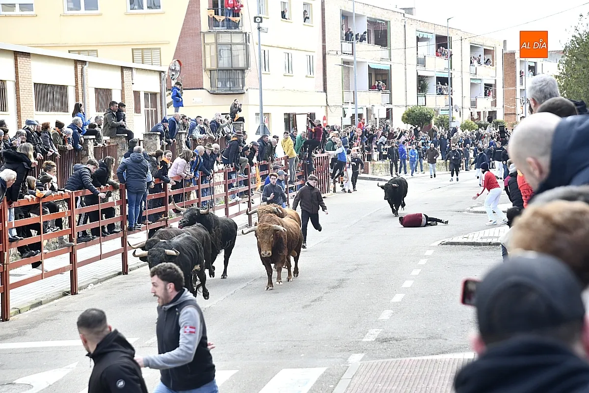 Encierro- desencierro martes Carnaval
