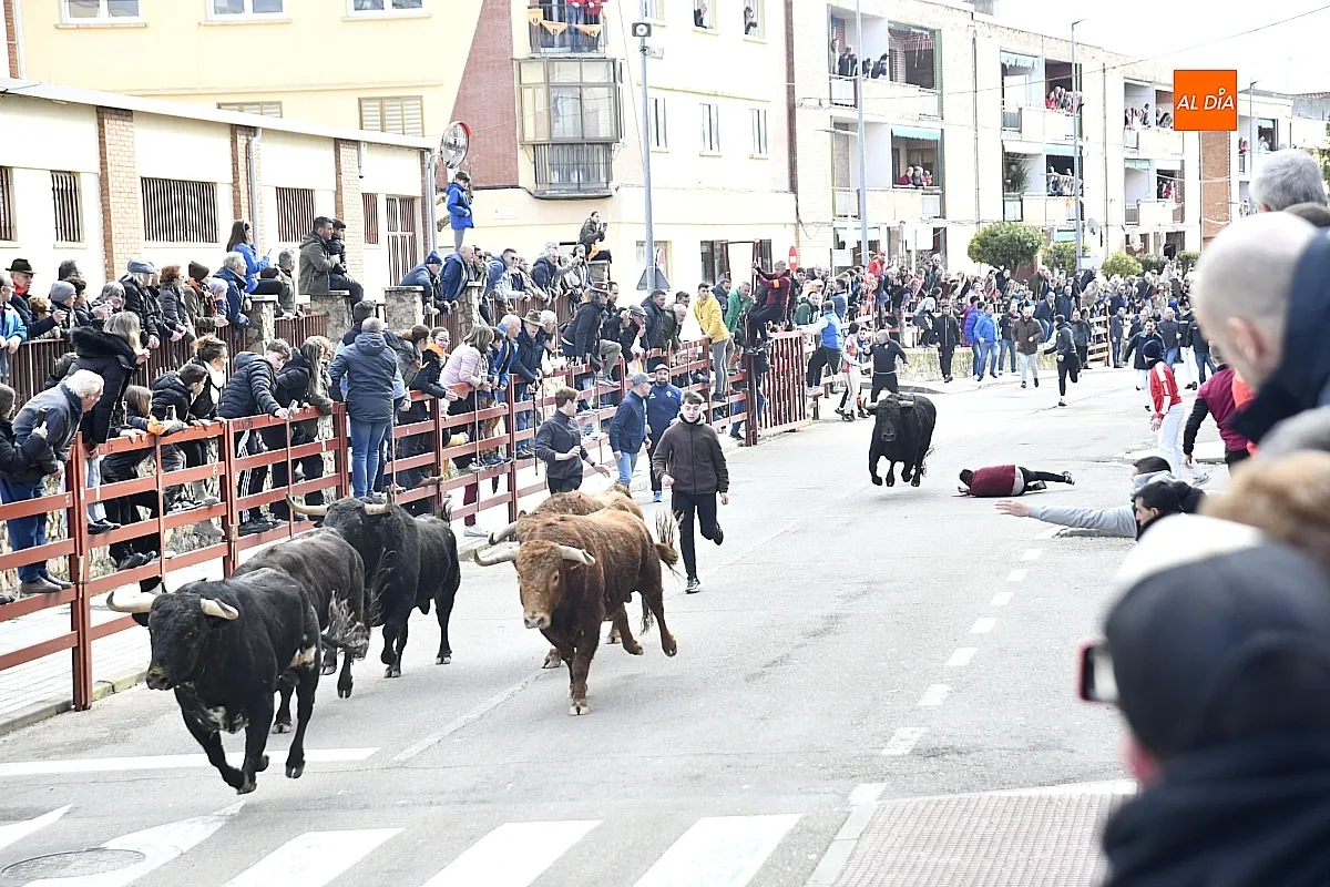 Encierro- desencierro martes Carnaval