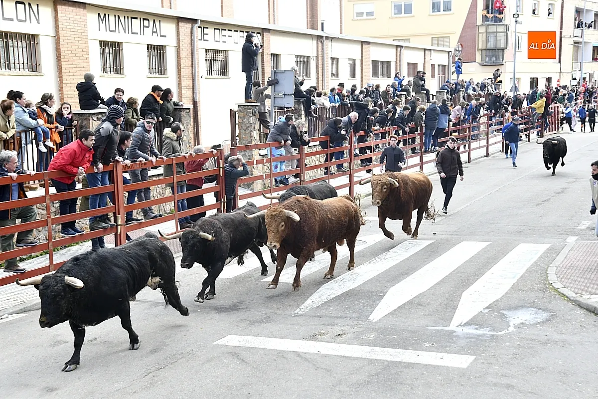 Encierro- desencierro martes Carnaval