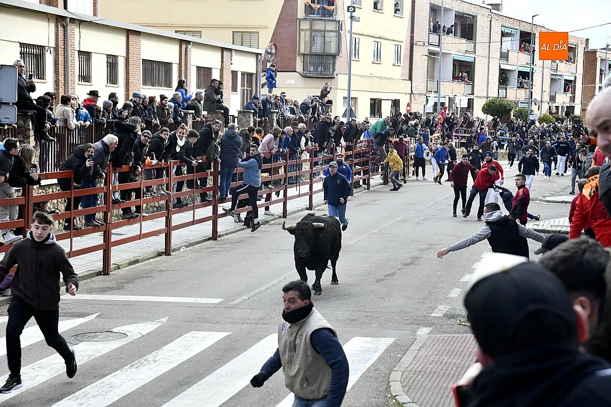 Encierro- desencierro martes Carnaval