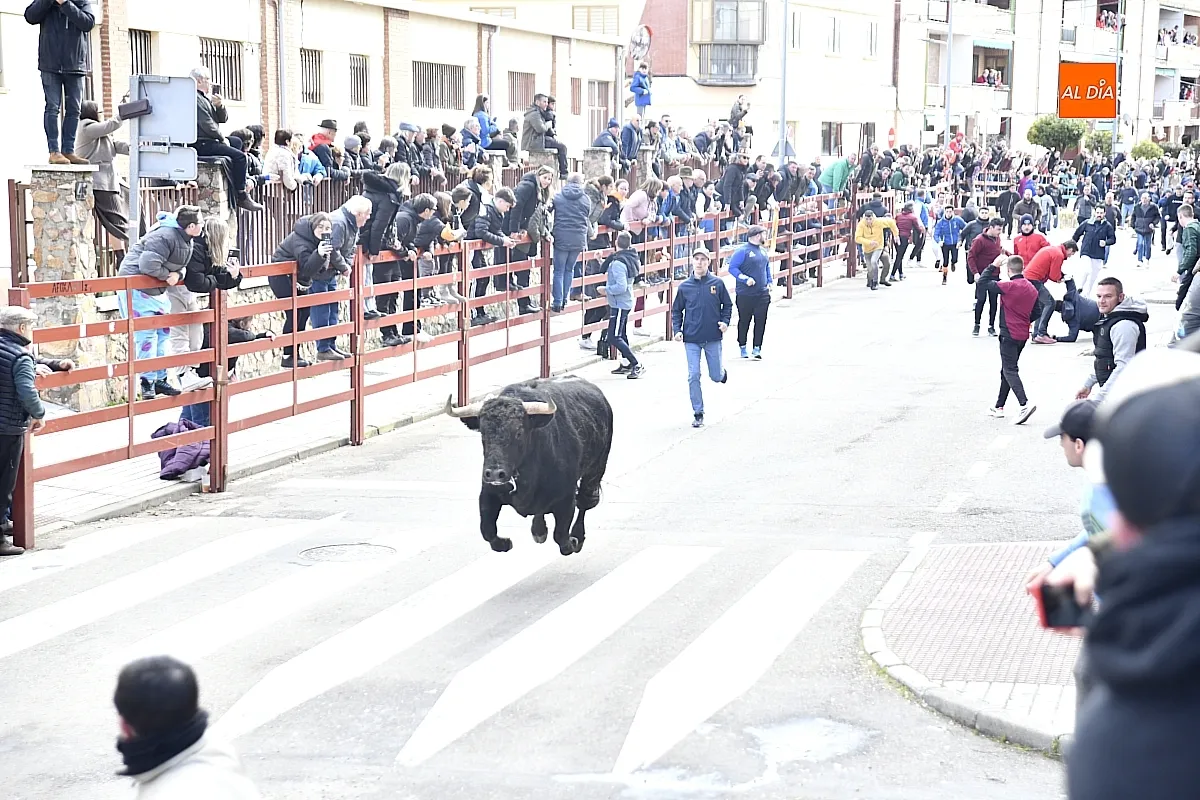 Encierro- desencierro martes Carnaval