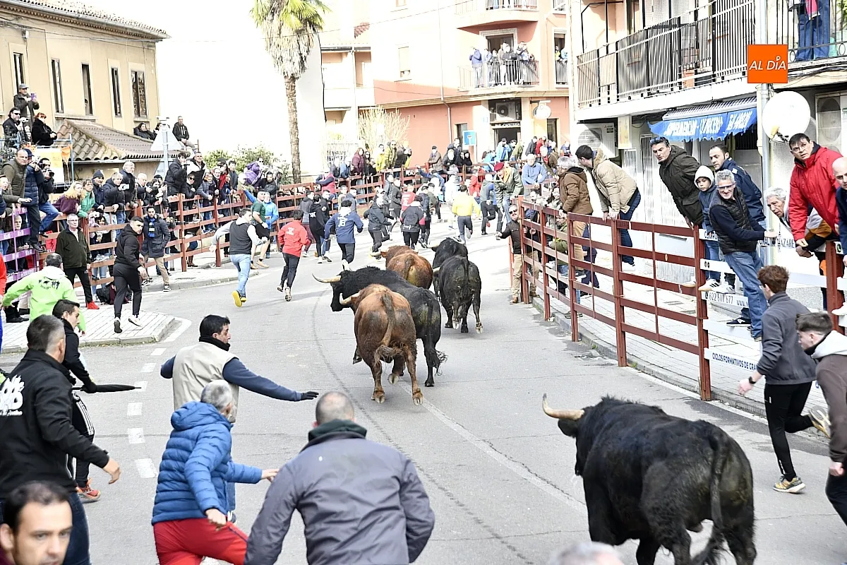 Encierro- desencierro martes Carnaval