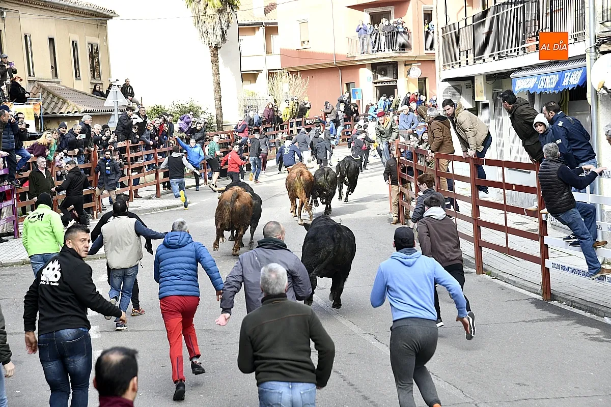 Encierro- desencierro martes Carnaval