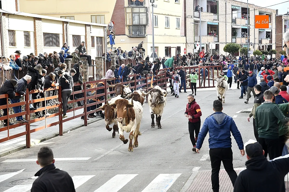 Encierro- desencierro martes Carnaval