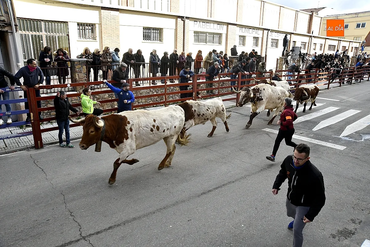 Encierro- desencierro martes Carnaval