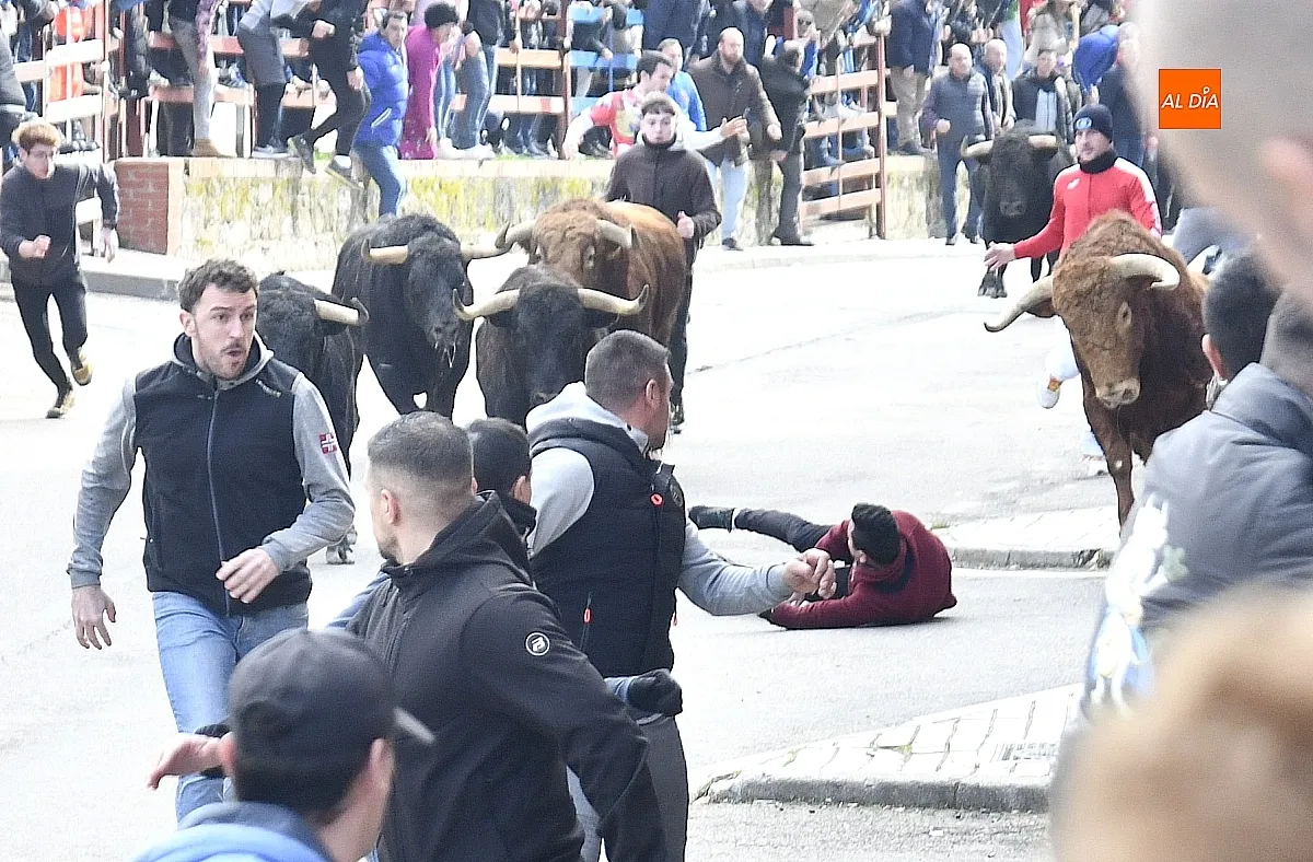 Encierro- desencierro martes Carnaval