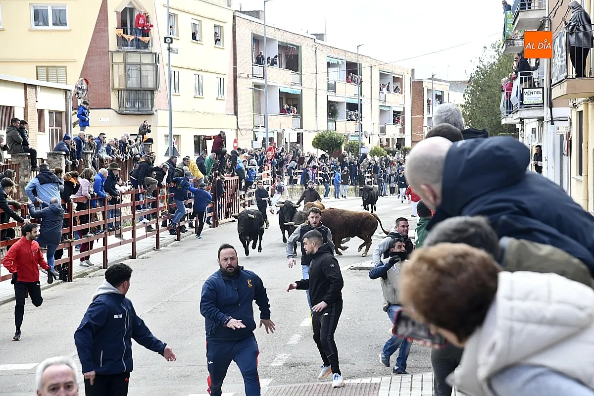 Encierro- desencierro martes Carnaval