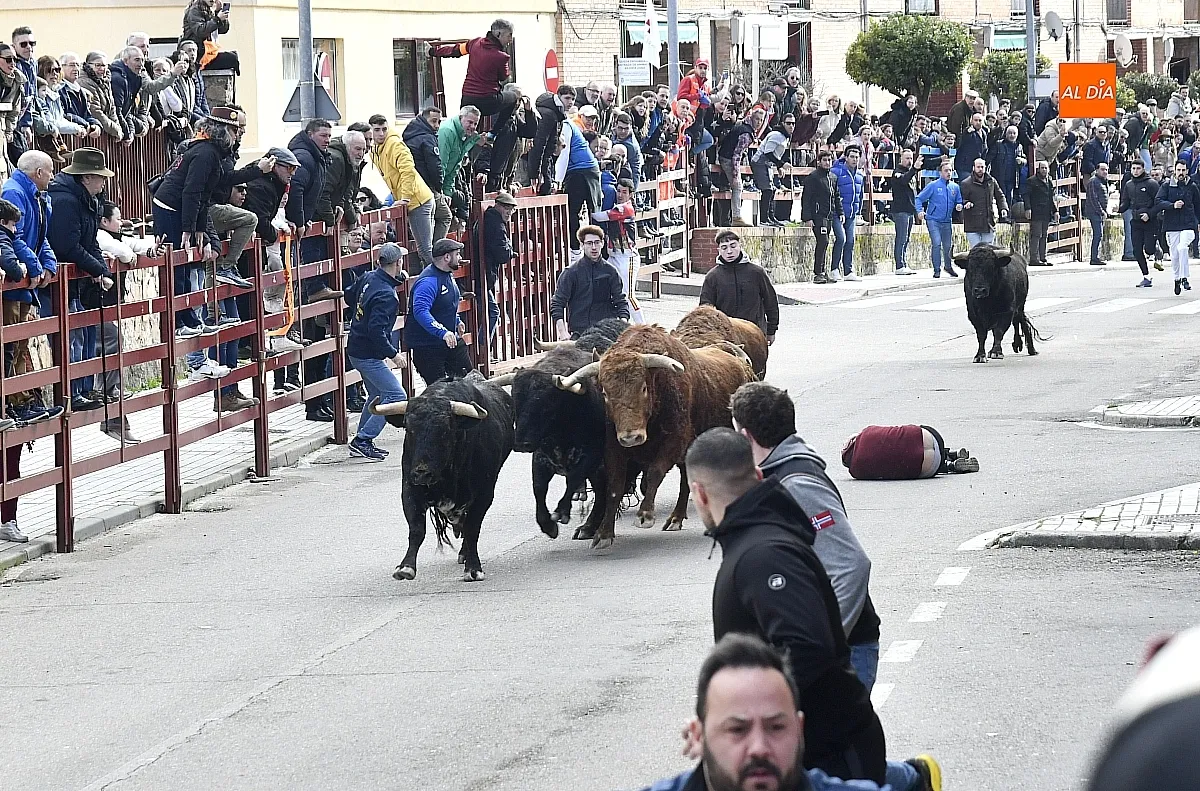 Encierro- desencierro martes Carnaval