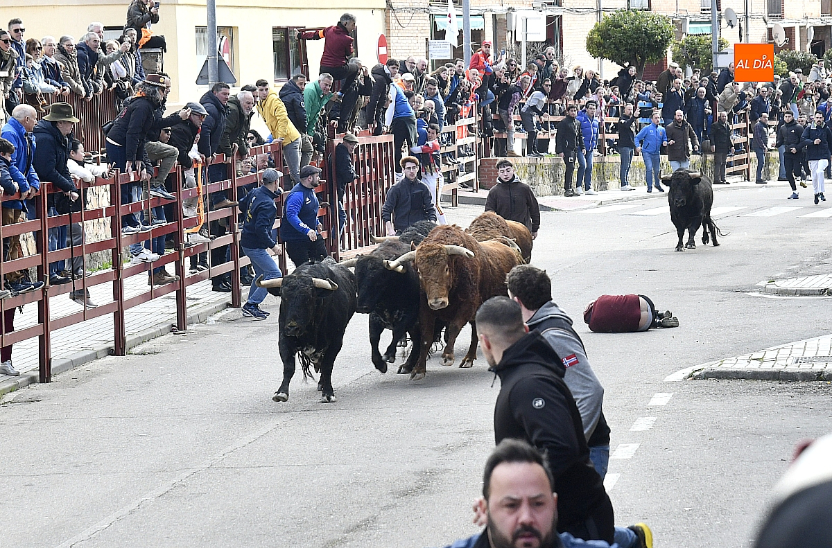 14 heridos en el Martes de Carnaval de Ciudad Rodrigo