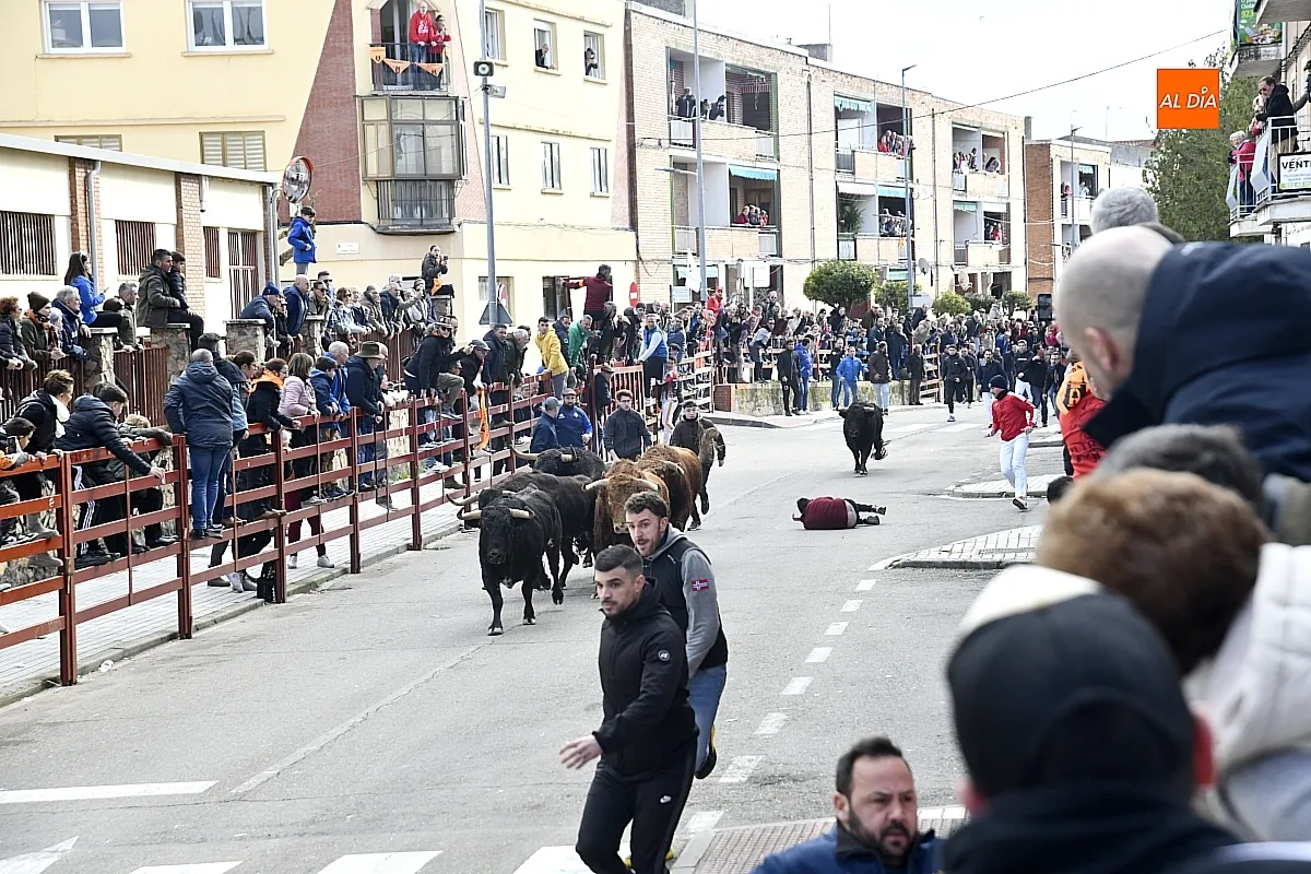 Encierro- desencierro martes Carnaval
