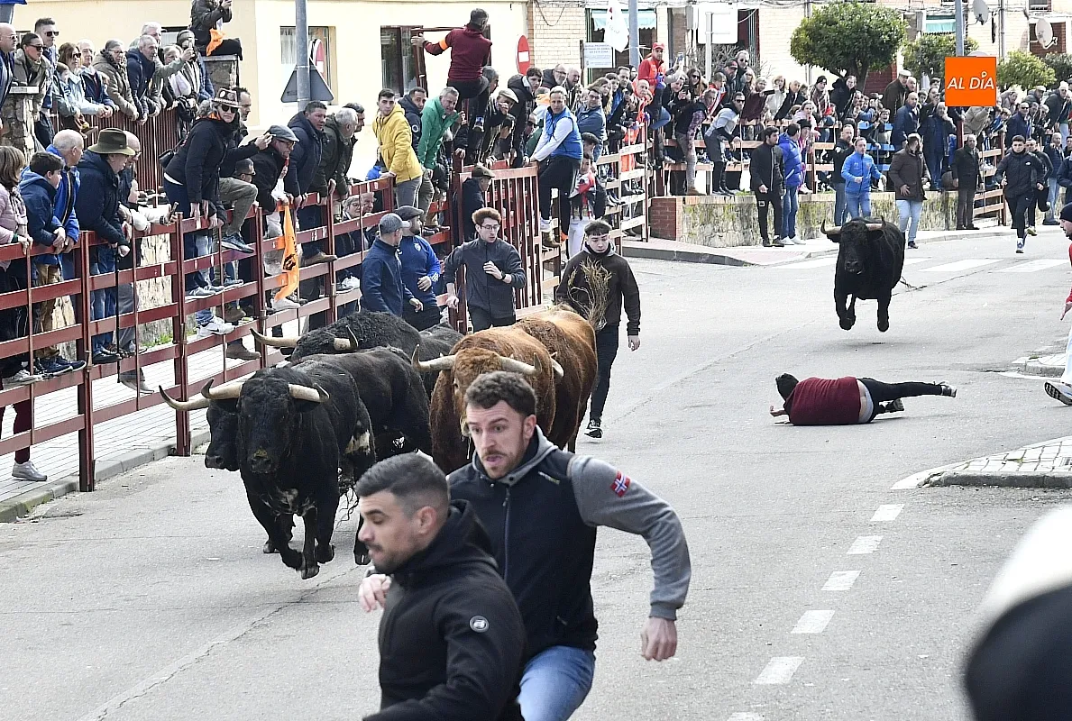 Encierro- desencierro martes Carnaval
