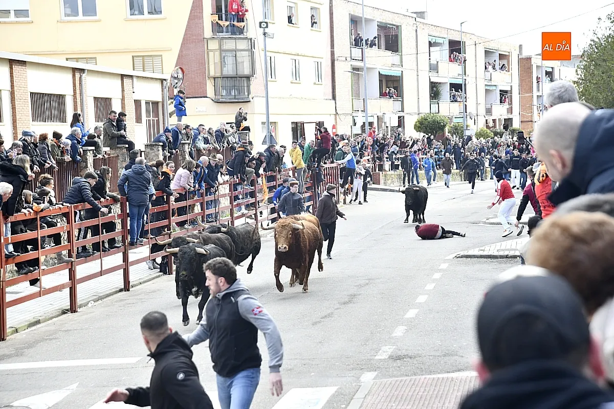 Encierro- desencierro martes Carnaval