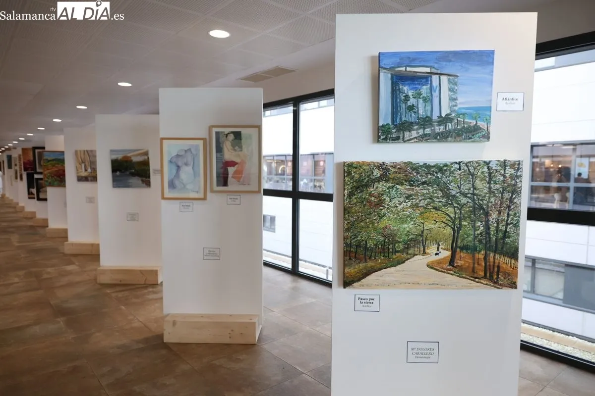 Nueve médicos aficionados a la pintura exponen sus obras en el Hospital de Salamanca. Fotos de David Sañudo