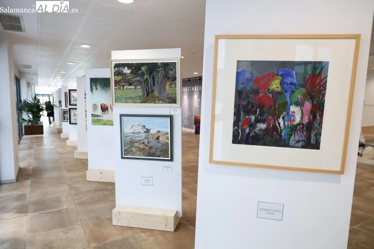 Nueve médicos aficionados a la pintura exponen sus obras en el Hospital de Salamanca. Fotos de David Sañudo