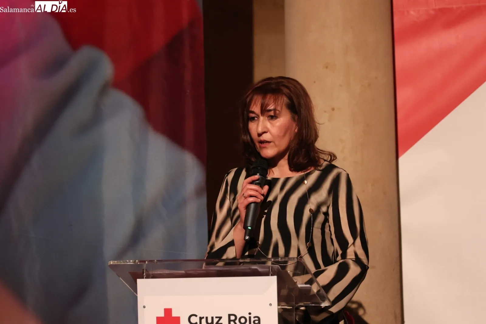 Premios Solidaridad Cruz Roja | Fotos: David Sañudo
