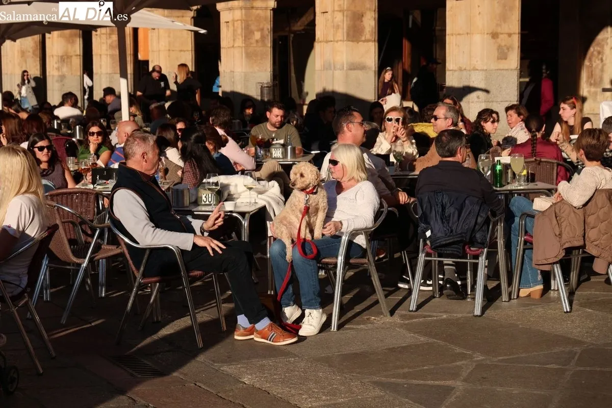 El sol y las temperaturas primaverales llenan de vida el centro de Salamanca | FOTOS: David Sañudo