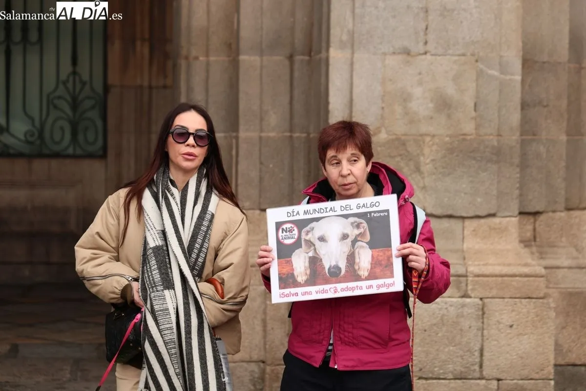 La Plataforma NAC exige en la Plaza Mayor el fin de la caza y la protección de los galgos | FOTOS: David Sañudo 